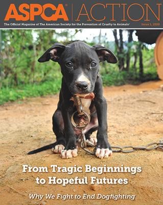 ASPCA Magazine Cover