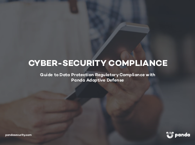 Cyber-Security Compliance: Guide To Data Protection Regulatory Compliance